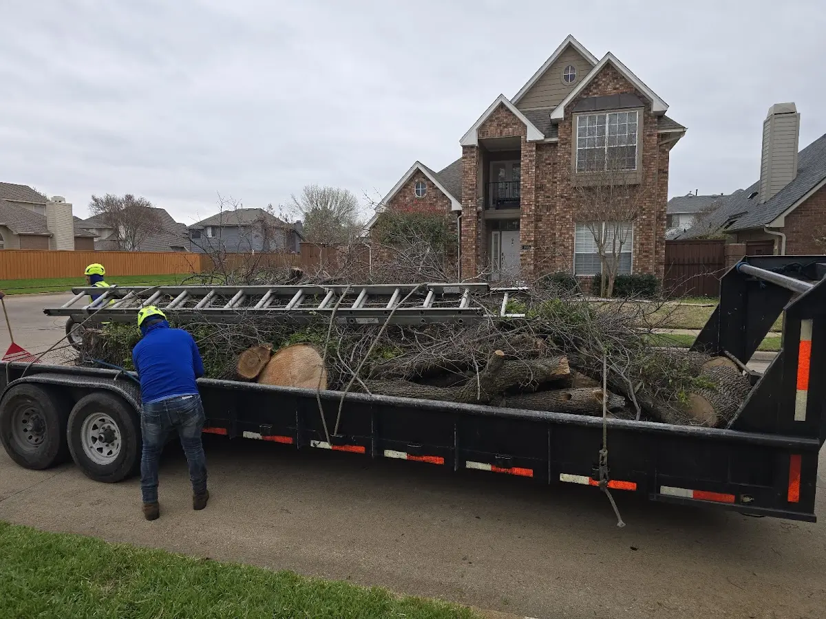 Expert Lot Clearing with proper safety equipment in Round Mountain